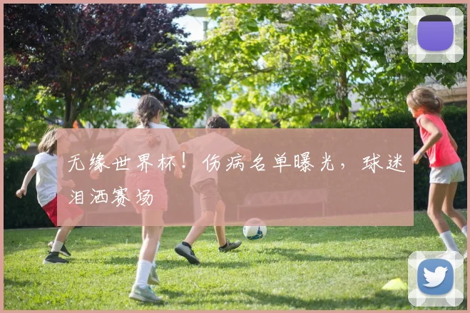 无缘世界杯！伤病名单曝光，球迷泪洒赛场